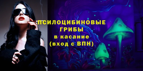 гашик Вяземский