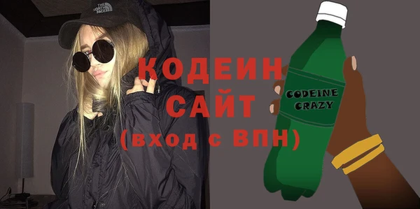 гашик Вяземский