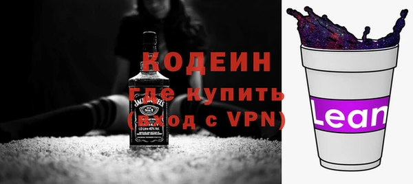 гашик Вяземский