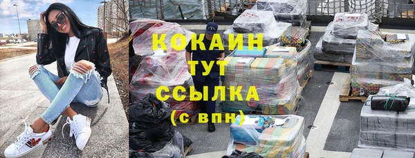 гашик Вяземский