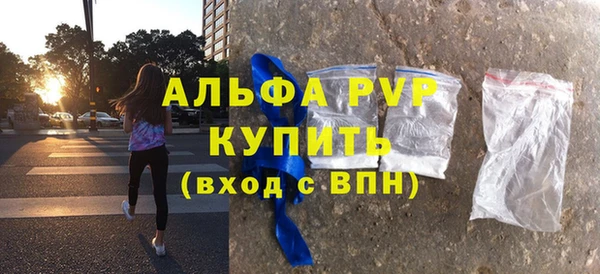 гашик Вяземский