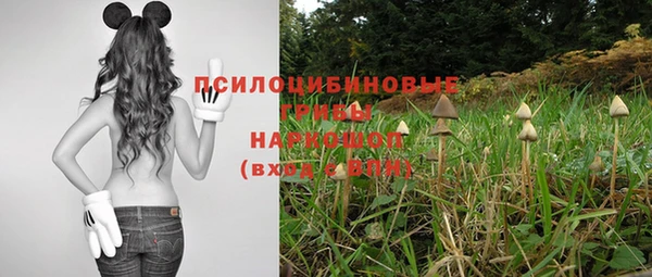 бошки Вязьма