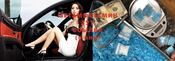 гашик Вяземский