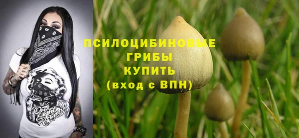 бошки Вязьма