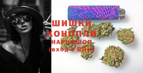 гашик Вяземский