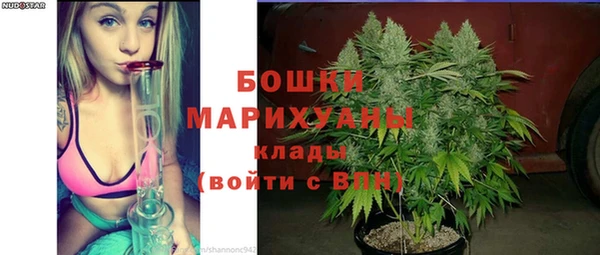 бошки Вязьма